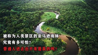 被称为人类禁区的亚马逊雨林，究竟有多可怕？普通人进去出不来？