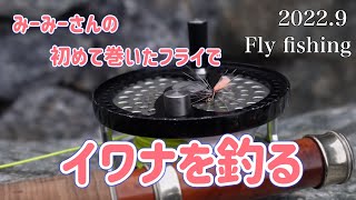 【Fly fishing】2022.9/mission視聴者様のみーみーさんが初めて巻いたフライでイワナを釣る/yuuhikoロッド7ft3番/スパイダーパラシュート