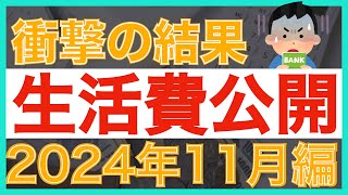 【衝撃】 生活費公開2024年11月編｜リアルな生活費を全て公開｜資産形成｜資産運用