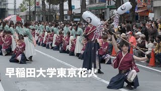 早稲田大学東京花火 みらいにつなぐ池袋DAYよさこい流し踊り