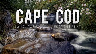 Cape Cod Photography