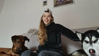 une journée avec mes chiens !!