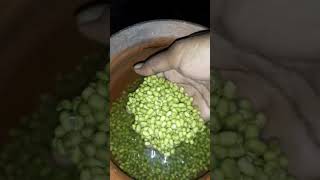 #కొవ్వు కరిగేలా చేసే పెసర మొలకలు తయారీ #Moong dal Sprouts making #shorts @rupa traditional kitchen