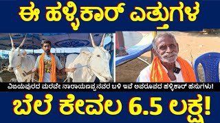 ಈ ಹಳ್ಳಿಕಾರ್ ಎತ್ತುಗಳ ಬೆಲೆ 6.5 ಲಕ್ಷ! ತೋರ್ನಹಳ್ಳಿ ಸಪ್ಲಮ್ಮನ ಜಾತ್ರೆ ಬಲು ಜೋರು! ಮರವೆ ನಾರಾಯಣಪ್ಪ ಇಲ್ಲಿ famous!