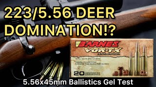 .223/5.56 DEER SLAYERS?! 5.56x45 Barnes Vor-TX TSX 62 \u0026 70gr Ammo Test