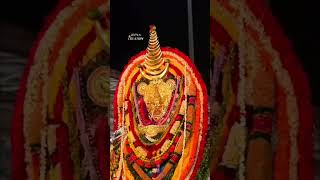 Vaikathashtami 2024| Vaikathashtami|VaikomMahadev Temple#vaikathashtami#vaikom#vaikommahadevatemple