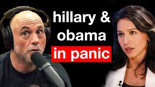 Joe Rogan Didn’t Expect This… Tulsi Gabbard’s Shocking Take on Ukraine.