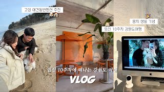 VLOG ; 임신10주차에 강원도 여행 떠나기 💙 | 뭉치 생일, 애견동반고성여행, 고성애견동반펜션, 여행브이로그