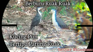 Playtube Pk Ultimate Video Sharing Website