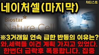 [네이처셀 주가분석] 3거래일 연속 급한 반등의 이유는? 세력들 이건 계획 가지고있엇다!! 한번더 급락 후 폭등 합니다!!! #네이처셀 #네이처셀대응 #네이처셀주가전망