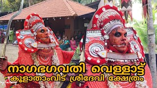 നാഗഭഗവതി വെള്ളാട്ട് | ചിക്കു കരിയാത്തൻക്കാവ് | കൂളത്താം വീട് ക്ഷേത്രം #manayolakoyilandy #youtube