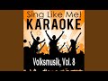 A bissl Sonne (Karaoke Version) (Originally Performed By Hey Man! Band)