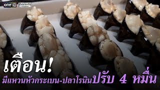 เตือน!มีแหวนหัวกระเบน- ปลาโรนินปรับ 4 หมื่น | ข่าวช่องวัน | one31