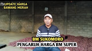 BJM SUKOMORO PENGARUH HARGA BM SUPER | UPDATE HARGA BAWANG MERAH BJM CHANNEL