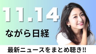 11月14日（木）自民党 個人献金の税優遇拡充へ、セブン\u0026アイHD 創業家が買収提案【ながら日経】