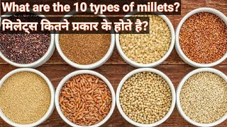 मिलेट्स कितने प्रकार के होते है?What are the types of millets|types of millets|millets