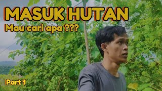 MASUK HUTAN NYARI APA SIH  ADA APA DIDALAMNYA ???