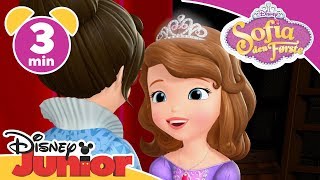 Sofia den første | Prinsesse Janne 👑- Disney Junior Norge