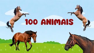 100 ANIMAIS