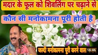 ||मंदार (आकड़े) के पुष्प का उपाय ||@panditpradeepmishraofficial#mahadev#viral#upay