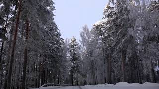 Finland beautiful winter road drive 4K Punkaharju