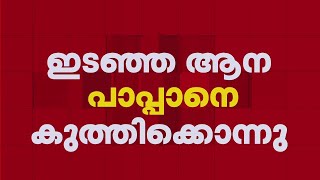 കൂറ്റനാട് നേർച്ചക്കിടെ ആന പാപ്പാനെ കുത്തിക്കൊന്നു