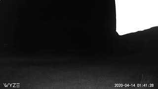 Strange figure caught on home security cam!