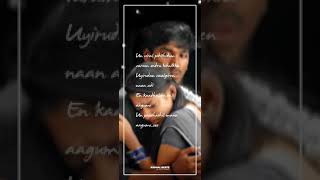 Venmegam Pennaga Song💞 Fullscreen whatsapp status video|| Dhanush|| Nayanthara|| Yaaradi Nee Mohini