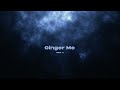 shy ink kish u0026 jiggo ginger me visualizer