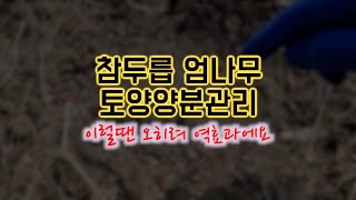 참두릅 엄나무 토양양분관리 // 재배의 목적에 따라 하셔야 합니다