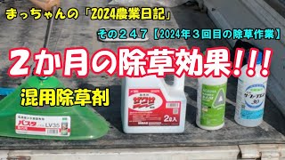 その２４７【2024年３回目の除草作業】混用除草剤で、長期除草!!!（ザクサ＋カーメックス＋サーファクタント３０）