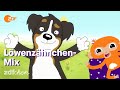 Löwenzähnchen-Mix | ZDFchen