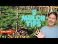 ARE YOU MULCHING YOUR TREES CORRECTLY?