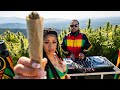 Ganja Roots Reggae Meditation Mix – Deep Roots, Sacred Smoke & Peaceful Vibes