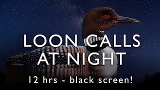 Loon Calls - On the lake at night - 12 Hours  - BLACK SCREEN!