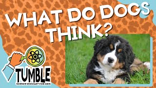 What Do Dogs Think? - Tumble Science Podcast for Kids