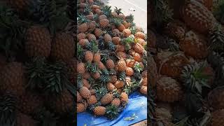 உங்க ஊரில் என்ன விலை அன்னாசி #pineapple #tamil #shorts