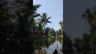 Kumarakom Village views | കുമരകം ഗ്രാമ കാഴ്ചകൾ #kumarakom #godsowncountry #kumarakomtreasures