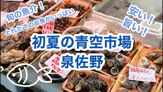 旬のお魚が安い！最高！初夏の泉佐野青空市場