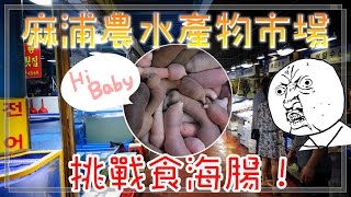 食海鮮仲去鷺梁津?! ＧＯ → 麻浦農水產物市場，挑戰食海腸!! 【首爾篇】