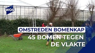 Omstreden bomenkap begonnen