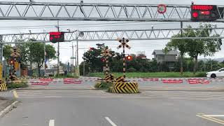 [平交道/踏鐵]台鐵4534次EMU500型區間車通過(永興村(一)平交道)