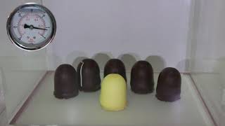 Chocolate covered Marshmallow-Biscuit in a vacuum chamber