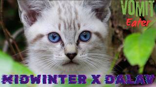 Midwinter x Dal Av - Vomit Eater - Cat Music Video