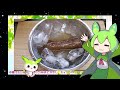 【voicevox ずんだもん】 料理動画選 にんにく入りの酢醤油で食べる 「牛肉のたたき」を作るのだ