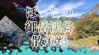 ぼっちの御岳渓谷散策路