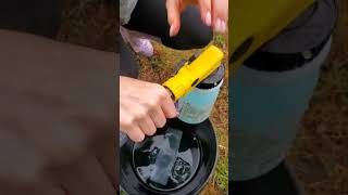 How to Apply Beneficial Nematodes to Your Lawn