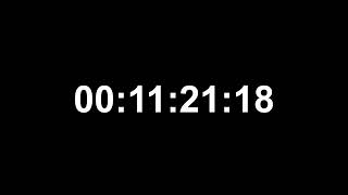 30 Minute Timer ⏱ Countdown Clock (1800 Seconds)