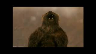 LA 10,000 BC [2004] - Short-Faced Bear Screen Time