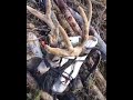 kuiu icon pro 1850 mule deer loaded